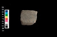 藏品(石錛)的圖片