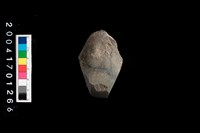 藏品(石錛)的圖片