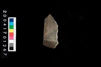 藏品(石錛)的圖片