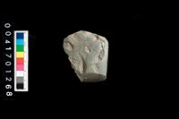 藏品(石錛)的圖片