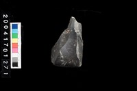 藏品(石錛)的圖片