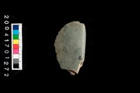 藏品(石錛)的圖片