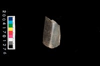 藏品(石錛)的圖片