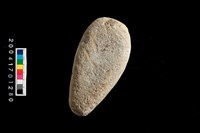 藏品(石錘)的圖片