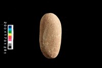 藏品(石錘)的圖片