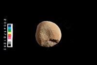 藏品(石錘)的圖片