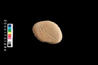 藏品(砥石)的圖片