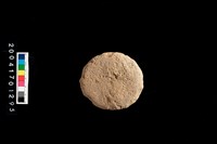 藏品(石錘)的圖片