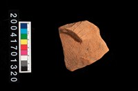 藏品(腹片-帶紋)的圖片