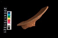 藏品(繩紋罐口)的圖片