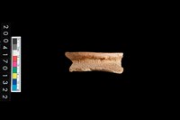 藏品(繩紋罐口)的圖片