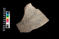 藏品(腹片-帶紋)的圖片