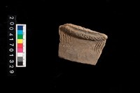 藏品(腹片-帶紋)的圖片