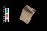 藏品(腹片-帶紋)的圖片