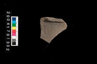 藏品(腹片-帶紋)的圖片