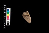 藏品(腹片-帶紋)的圖片