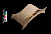 藏品(腹片-素面)的圖片