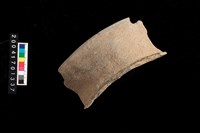 藏品(罐口)的圖片