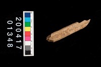 藏品(獸骨-肢骨)的圖片