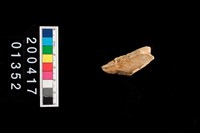 藏品(不明獸骨)的圖片