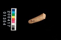 藏品(鹿角器)的圖片