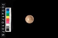 藏品(魚脊椎)的圖片