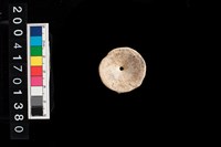 藏品(魚骨珠)的圖片