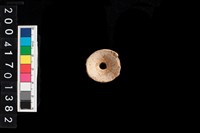 藏品(魚骨珠)的圖片