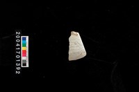 藏品(石錛)的圖片