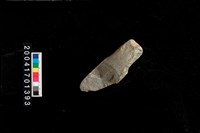 藏品(石錛)的圖片