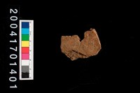 藏品(腹片)的圖片