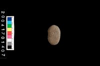 藏品(石網墜)的圖片