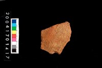 藏品(繩紋腹片)的圖片