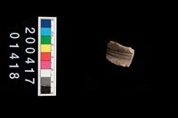 藏品(頸折-帶紋)的圖片