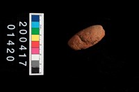 藏品(陶網墜)的圖片