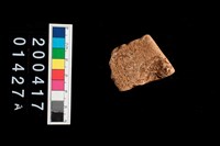 藏品(腹片-素面)的圖片