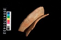 藏品(繩紋罐口)的圖片