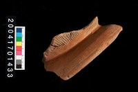 藏品(繩紋罐口)的圖片