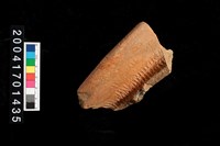 藏品(罐口)的圖片