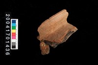 藏品(罐口)的圖片