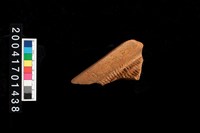 藏品(繩紋罐口)的圖片