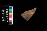 藏品(繩紋口緣)的圖片