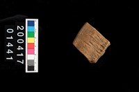 藏品(繩紋口緣)的圖片