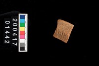 藏品(繩紋口緣)的圖片