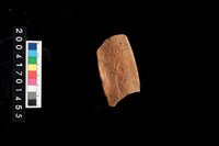 藏品(罐口)的圖片