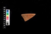 藏品(罐口)的圖片