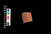 藏品(罐口)的圖片