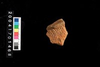 藏品(繩紋頸折)的圖片