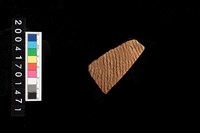 藏品(繩紋腹片)的圖片