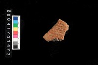 藏品(繩紋腹片)的圖片